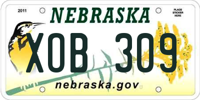 NE license plate XOB309