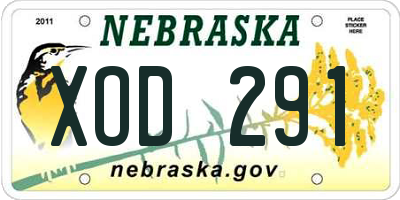 NE license plate XOD291
