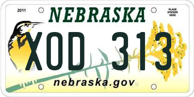 NE license plate XOD313