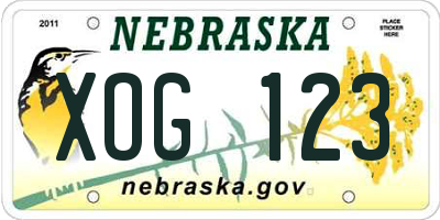 NE license plate XOG123
