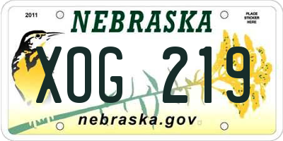 NE license plate XOG219