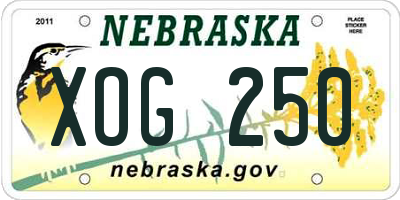 NE license plate XOG250