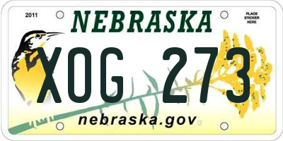 NE license plate XOG273