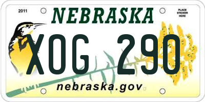 NE license plate XOG290