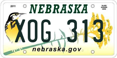 NE license plate XOG313