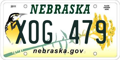 NE license plate XOG479