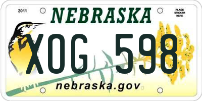 NE license plate XOG598