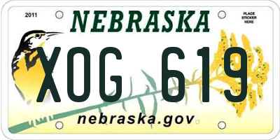 NE license plate XOG619