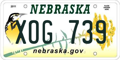NE license plate XOG739