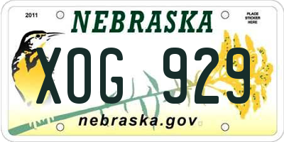 NE license plate XOG929