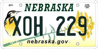 NE license plate XOH229