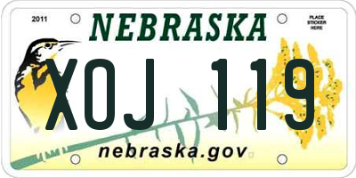 NE license plate XOJ119