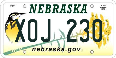 NE license plate XOJ230