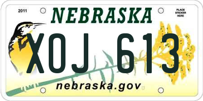 NE license plate XOJ613