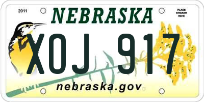NE license plate XOJ917