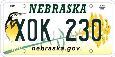 NE license plate XOK230