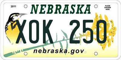 NE license plate XOK250