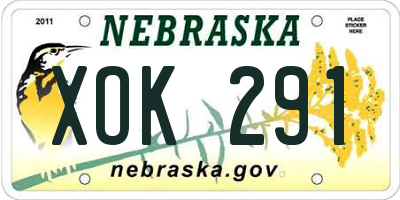 NE license plate XOK291