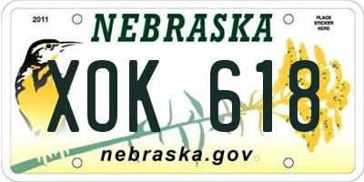 NE license plate XOK618