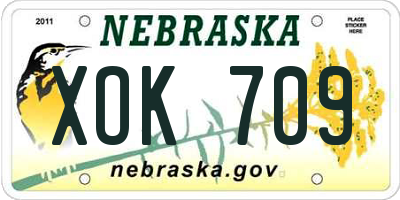 NE license plate XOK709