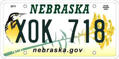 NE license plate XOK718