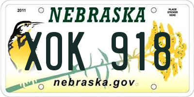 NE license plate XOK918