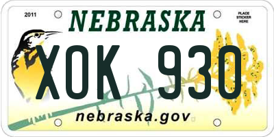 NE license plate XOK930