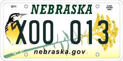NE license plate XOO013