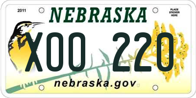 NE license plate XOO220