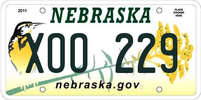 NE license plate XOO229
