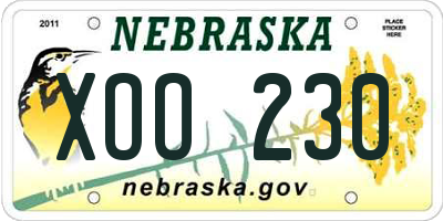 NE license plate XOO230