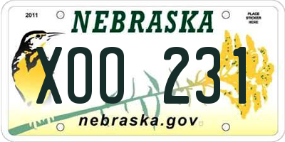 NE license plate XOO231