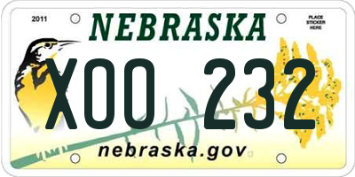 NE license plate XOO232