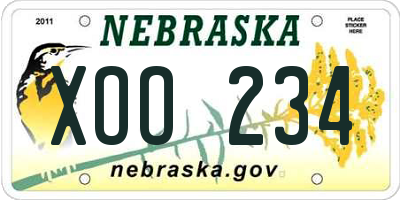 NE license plate XOO234