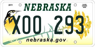 NE license plate XOO293