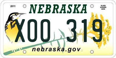 NE license plate XOO319
