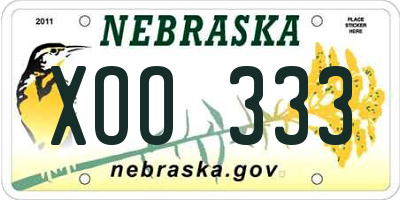 NE license plate XOO333