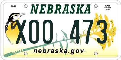 NE license plate XOO473