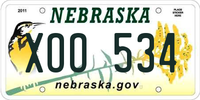 NE license plate XOO534