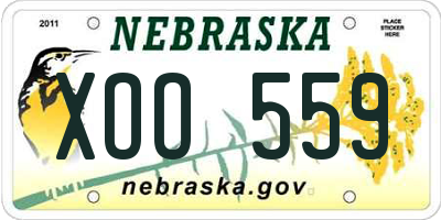 NE license plate XOO559