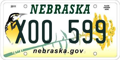 NE license plate XOO599