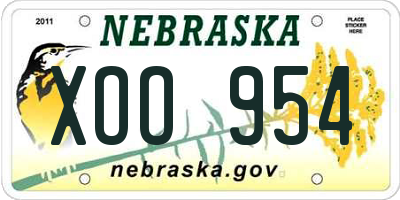 NE license plate XOO954