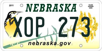 NE license plate XOP273