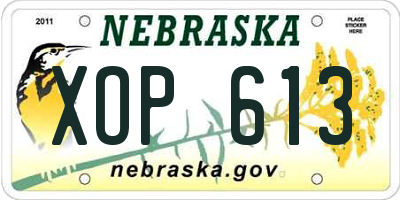 NE license plate XOP613