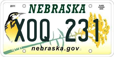 NE license plate XOQ231