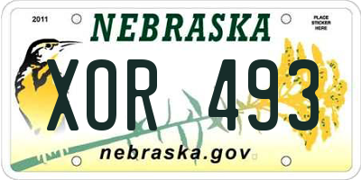 NE license plate XOR493