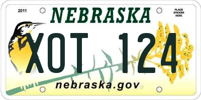 NE license plate XOT124