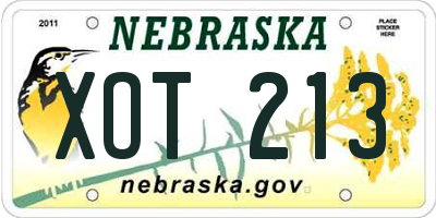 NE license plate XOT213