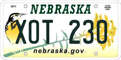 NE license plate XOT230