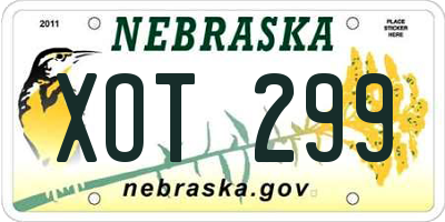 NE license plate XOT299